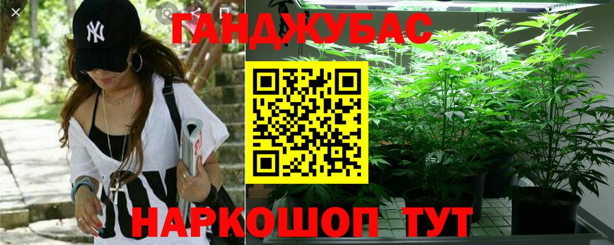 Конопля марихуана  Бошки марихуана SATIVA & INDICA  Курчатов  Вход с VPN  Каннабис планчик 